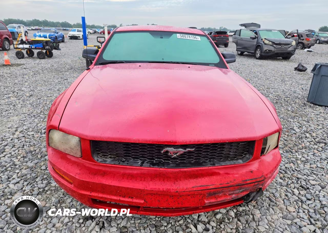 2009 Ford Mustang VIN:1ZVHT80N295109643 - 5