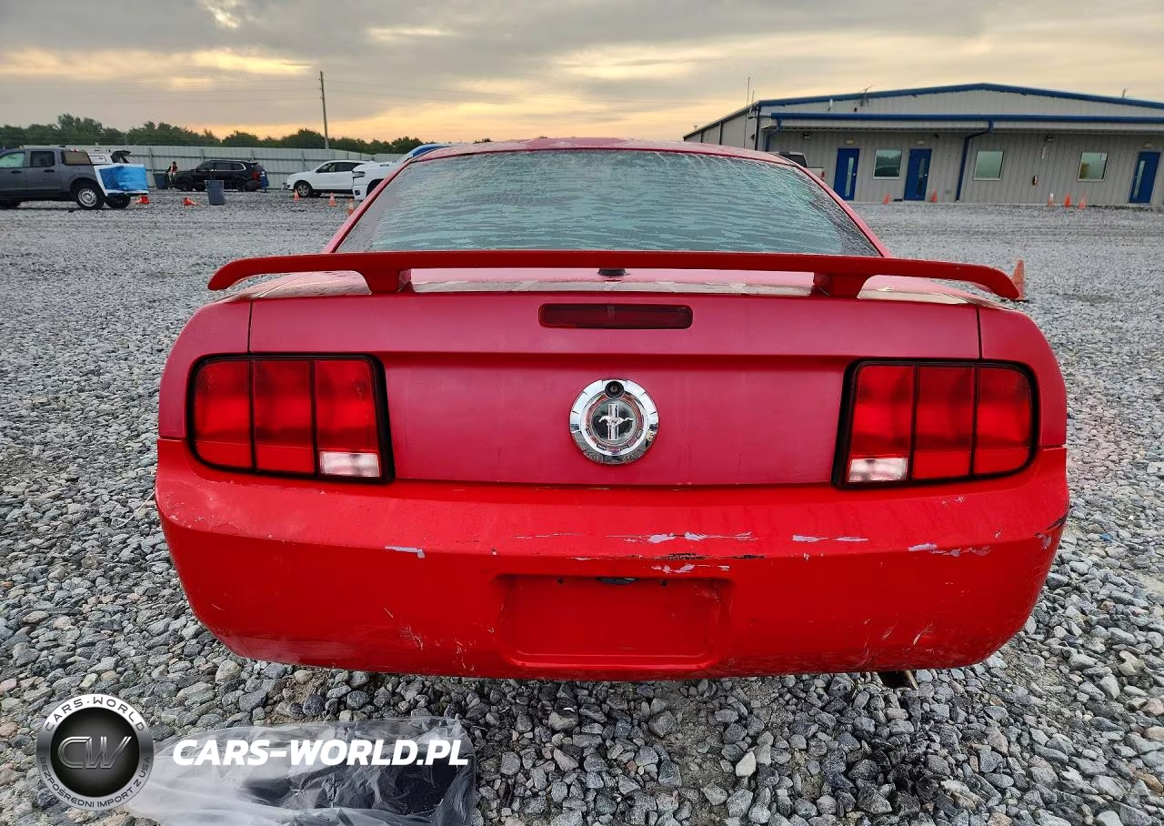 2009 Ford Mustang VIN:1ZVHT80N295109643 - 6