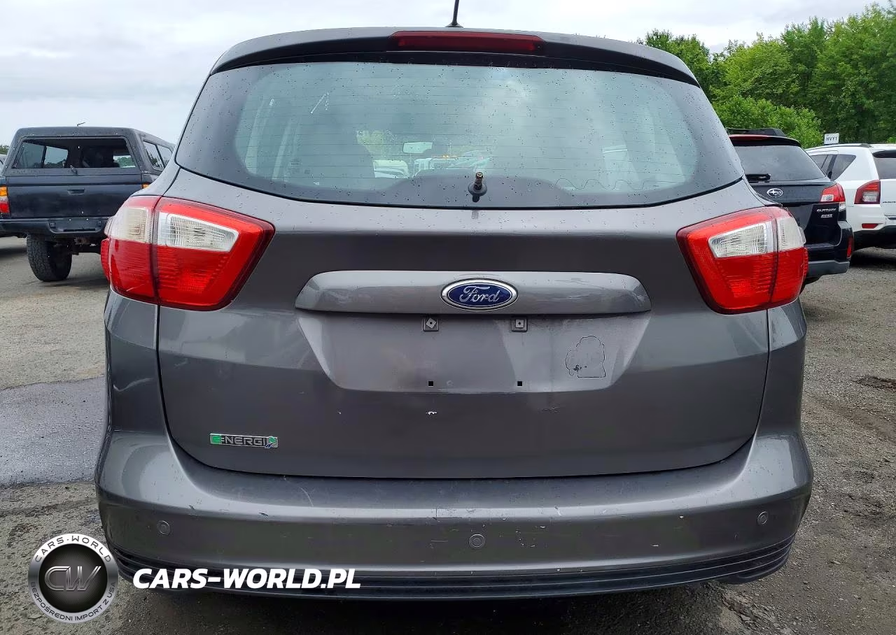 2013 Ford C-Max Premium VIN:1FADP5CU5DL539698 - 6