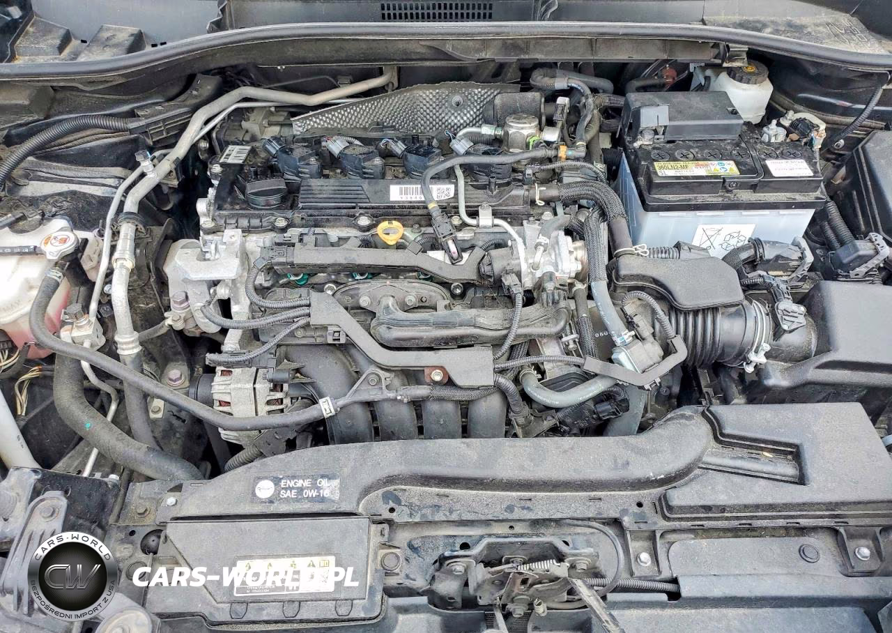 2023 Toyota Corolla Cross Xle VIN:7MUDAAAG9PV055088 - 11