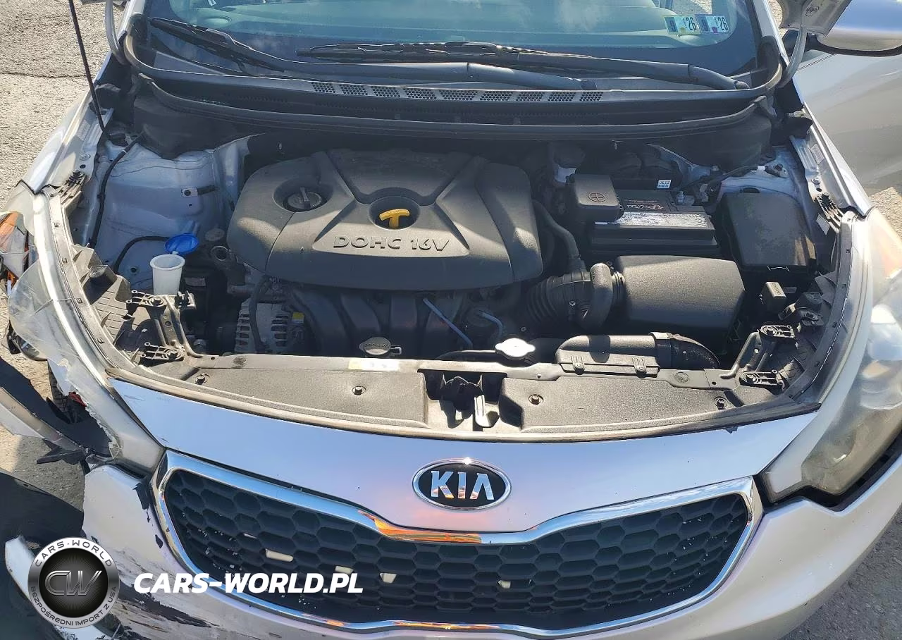 2014 Kia Forte Lx VIN:KNAFK4A64E5207304 - 11