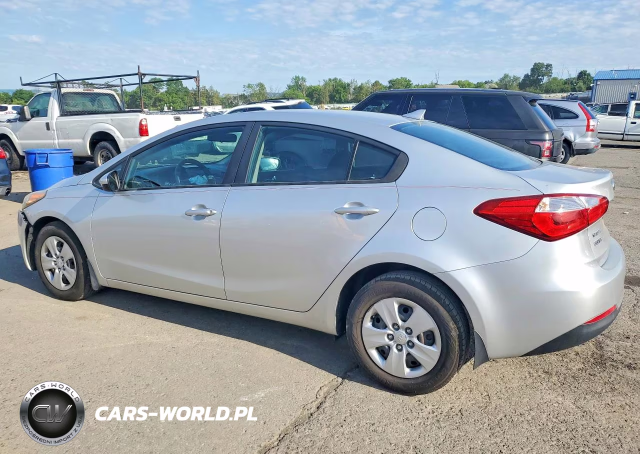 2014 Kia Forte Lx VIN:KNAFK4A64E5207304 - 2