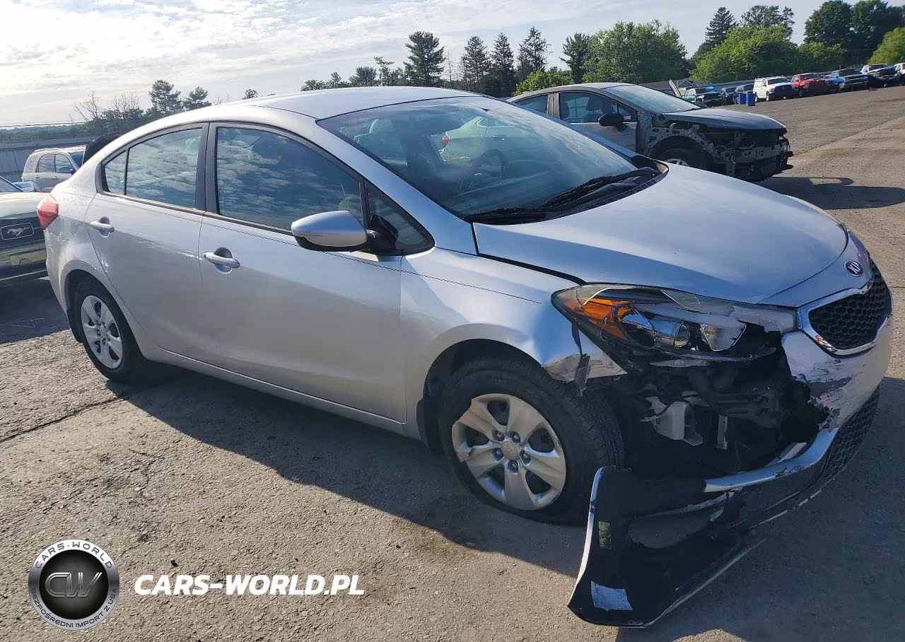 2014 Kia Forte Lx VIN:KNAFK4A64E5207304 - 4