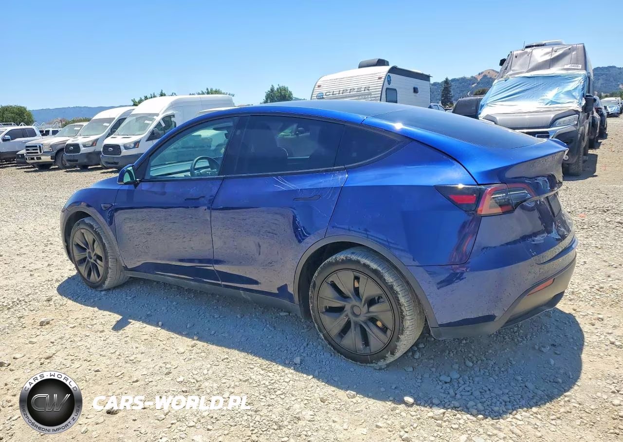 2025 Tesla Model Y VIN:7SAYGDED2SF221835 - 2