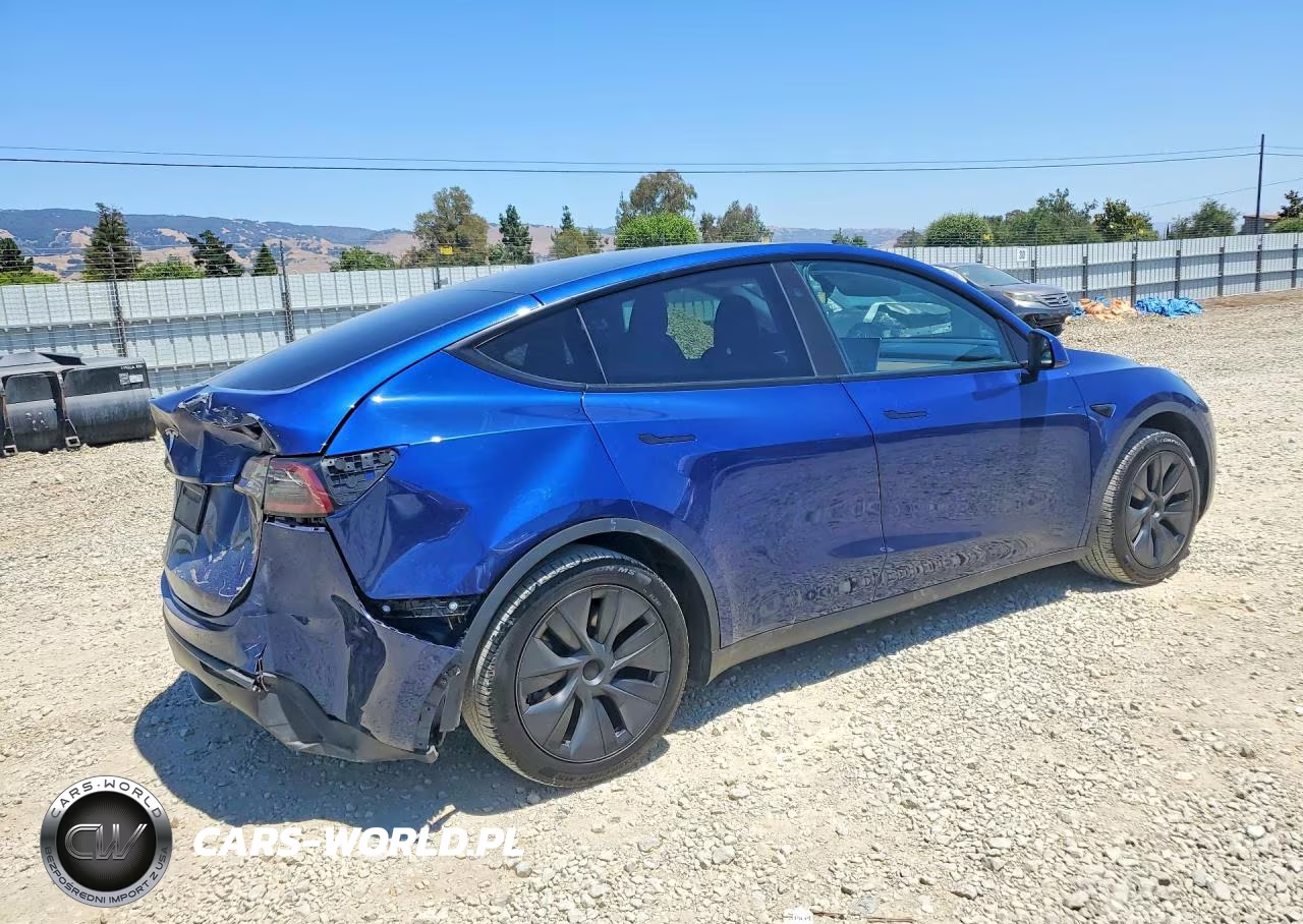 2025 Tesla Model Y VIN:7SAYGDED2SF221835 - 3