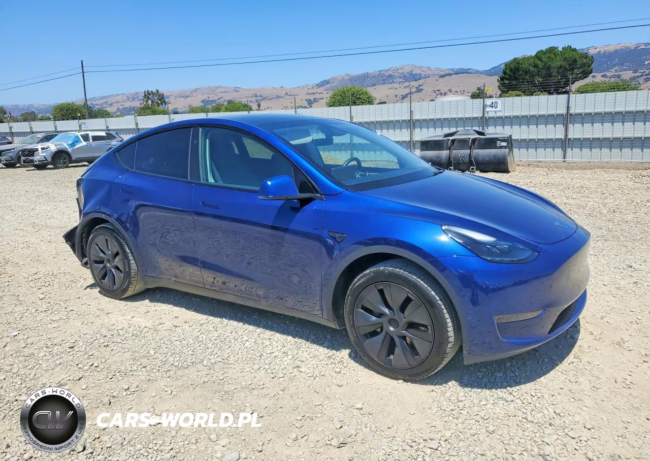 2025 Tesla Model Y VIN:7SAYGDED2SF221835 - 4