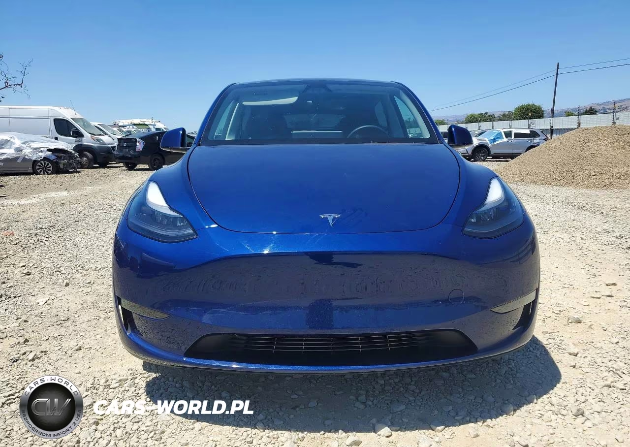 2025 Tesla Model Y VIN:7SAYGDED2SF221835 - 5