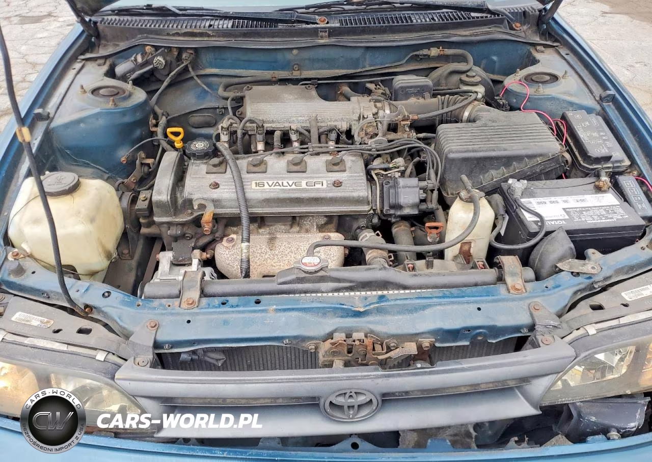 1994 Toyota Corolla Base VIN:2T1AE04B2RC055151 - 11