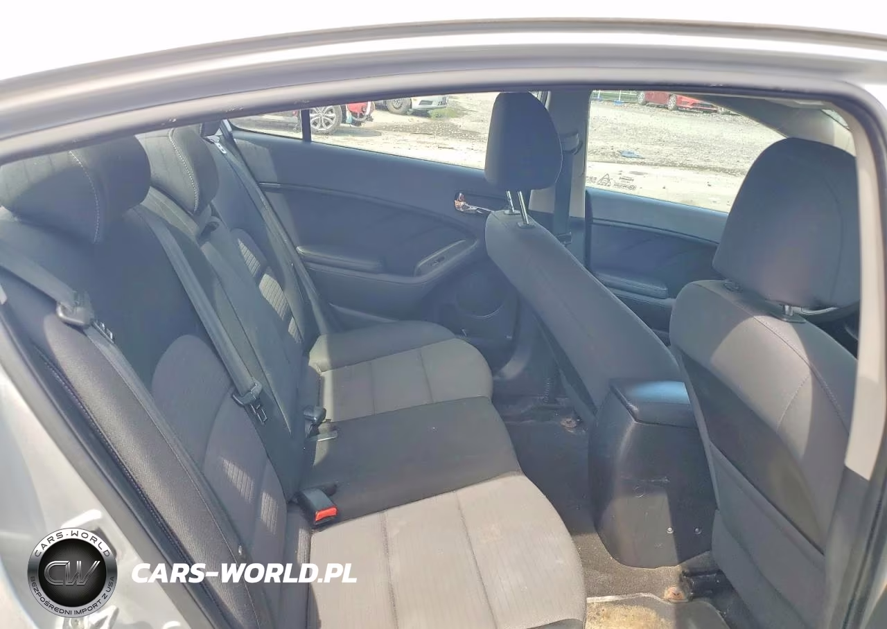 2014 Kia Forte Lx VIN:KNAFX4A68E5165074 - 10