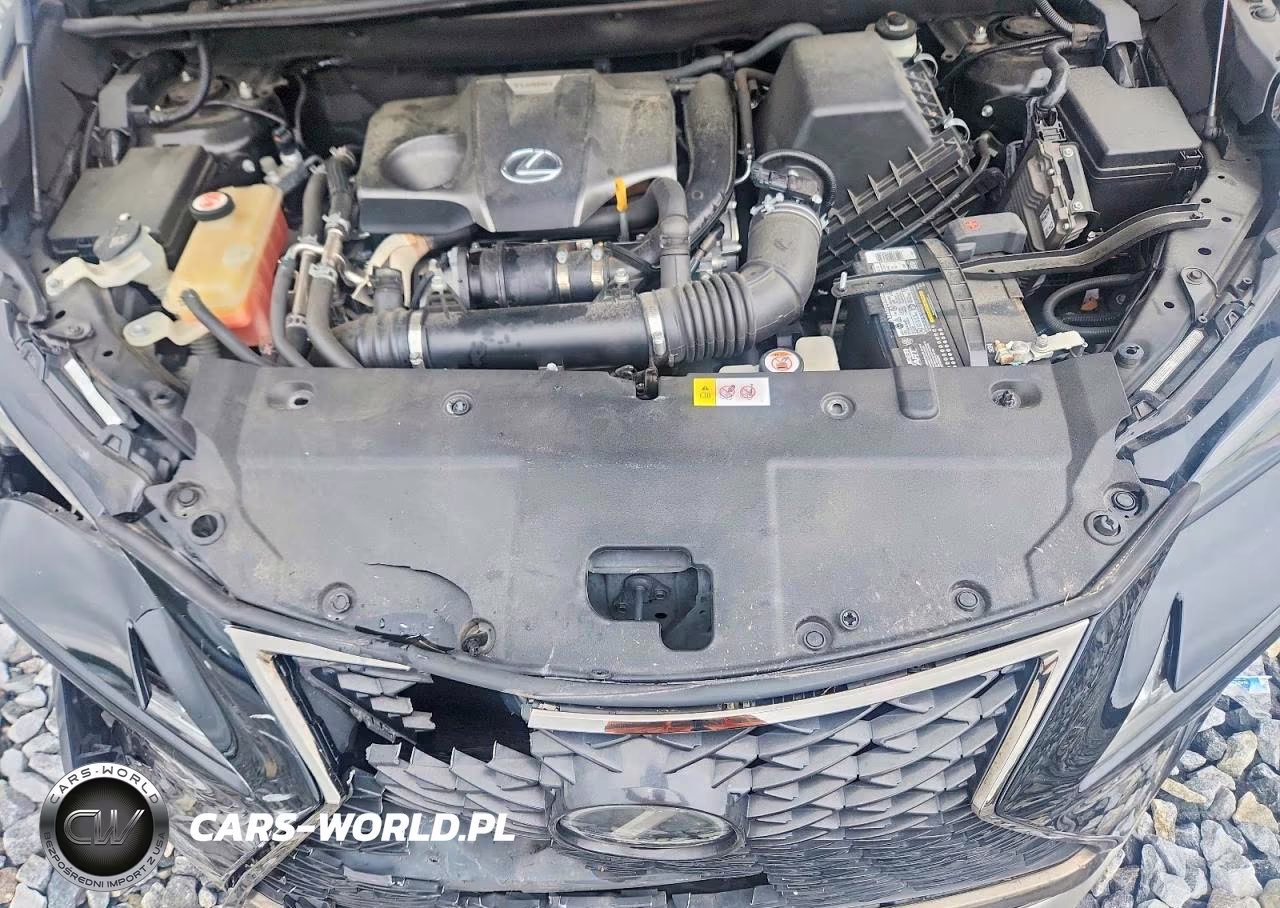 2018 Lexus Nx VIN:JTJYARBZ8J2100222 - 12