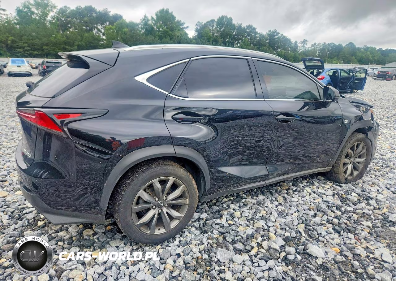 2018 Lexus Nx VIN:JTJYARBZ8J2100222 - 3