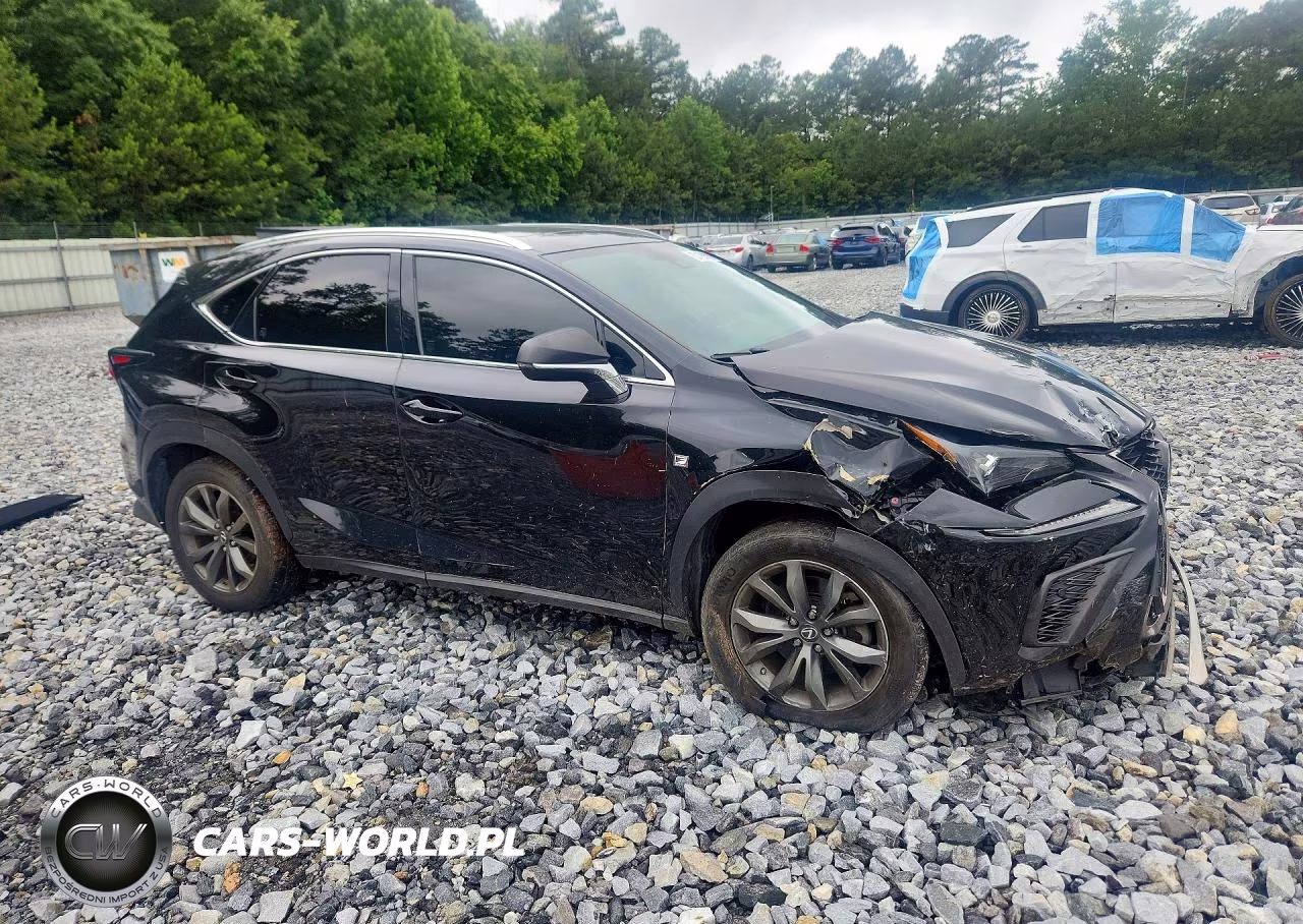 2018 Lexus Nx VIN:JTJYARBZ8J2100222 - 4