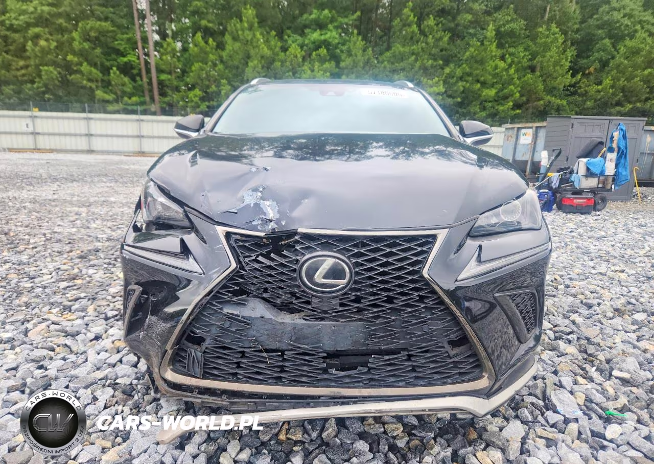 2018 Lexus Nx VIN:JTJYARBZ8J2100222 - 5