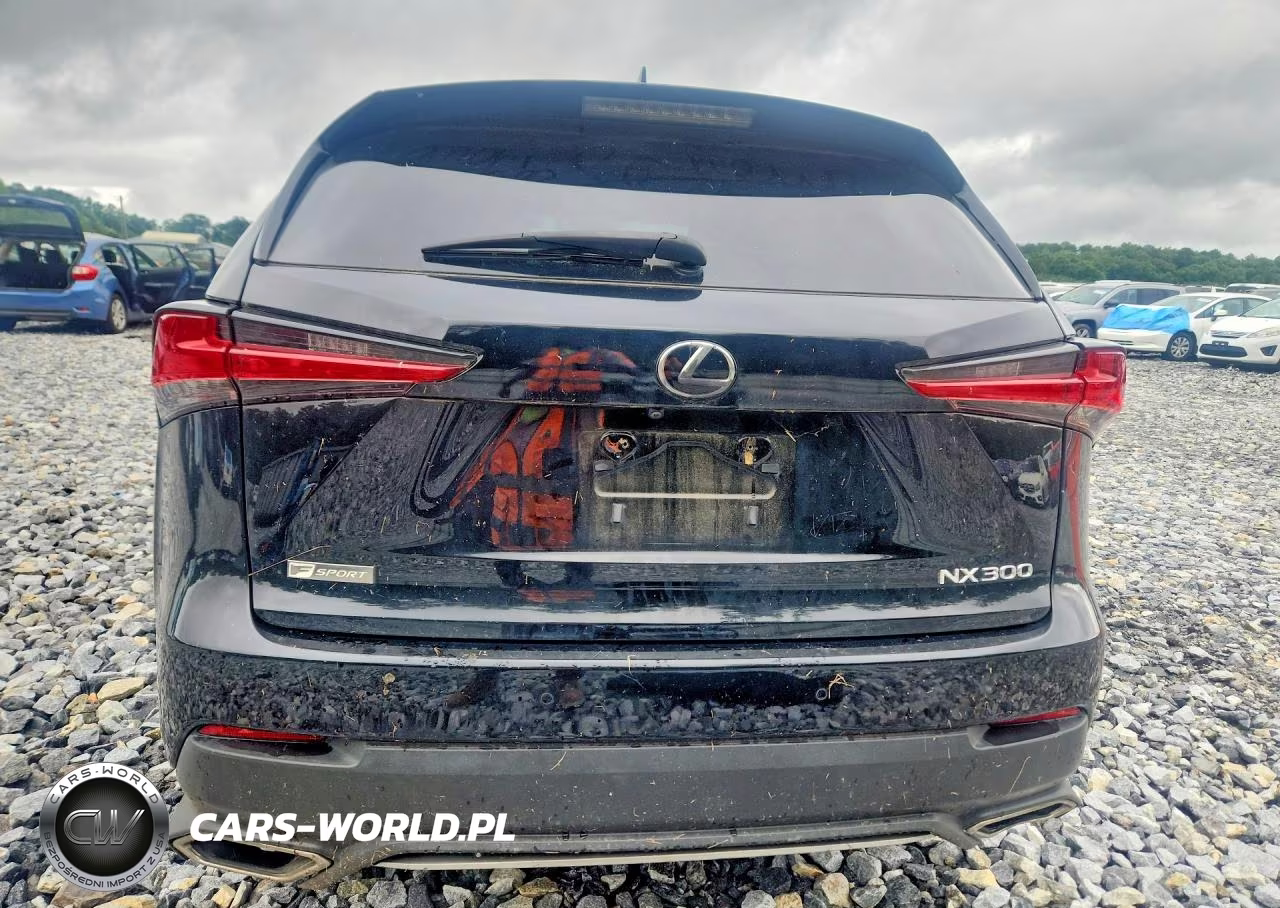 2018 Lexus Nx VIN:JTJYARBZ8J2100222 - 6