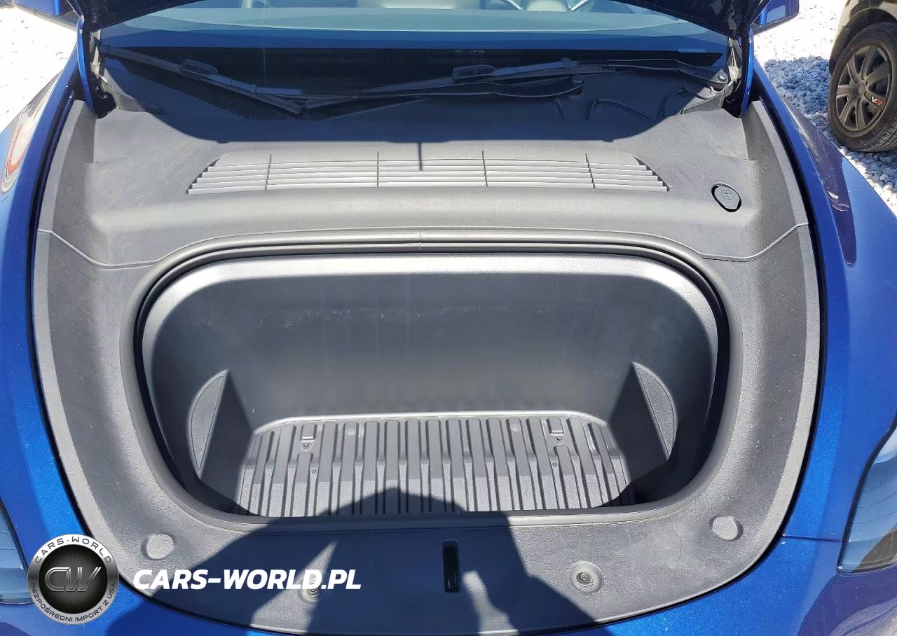 2024 Tesla Model Y VIN:7SAYGDEE3RA291666 - 11
