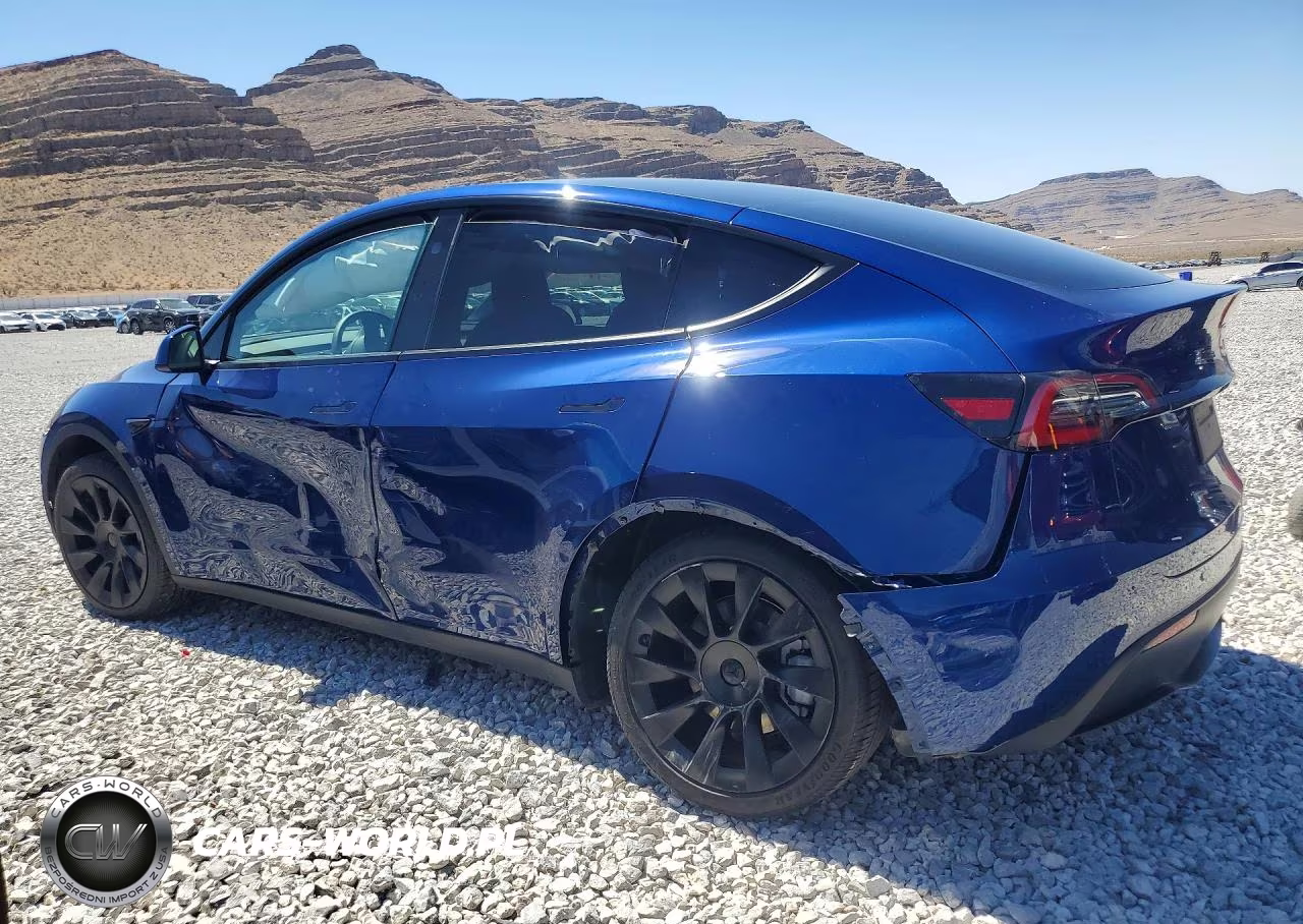 2024 Tesla Model Y VIN:7SAYGDEE3RA291666 - 2