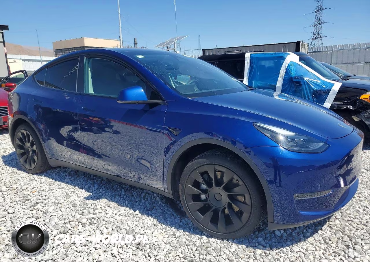 2024 Tesla Model Y VIN:7SAYGDEE3RA291666 - 4