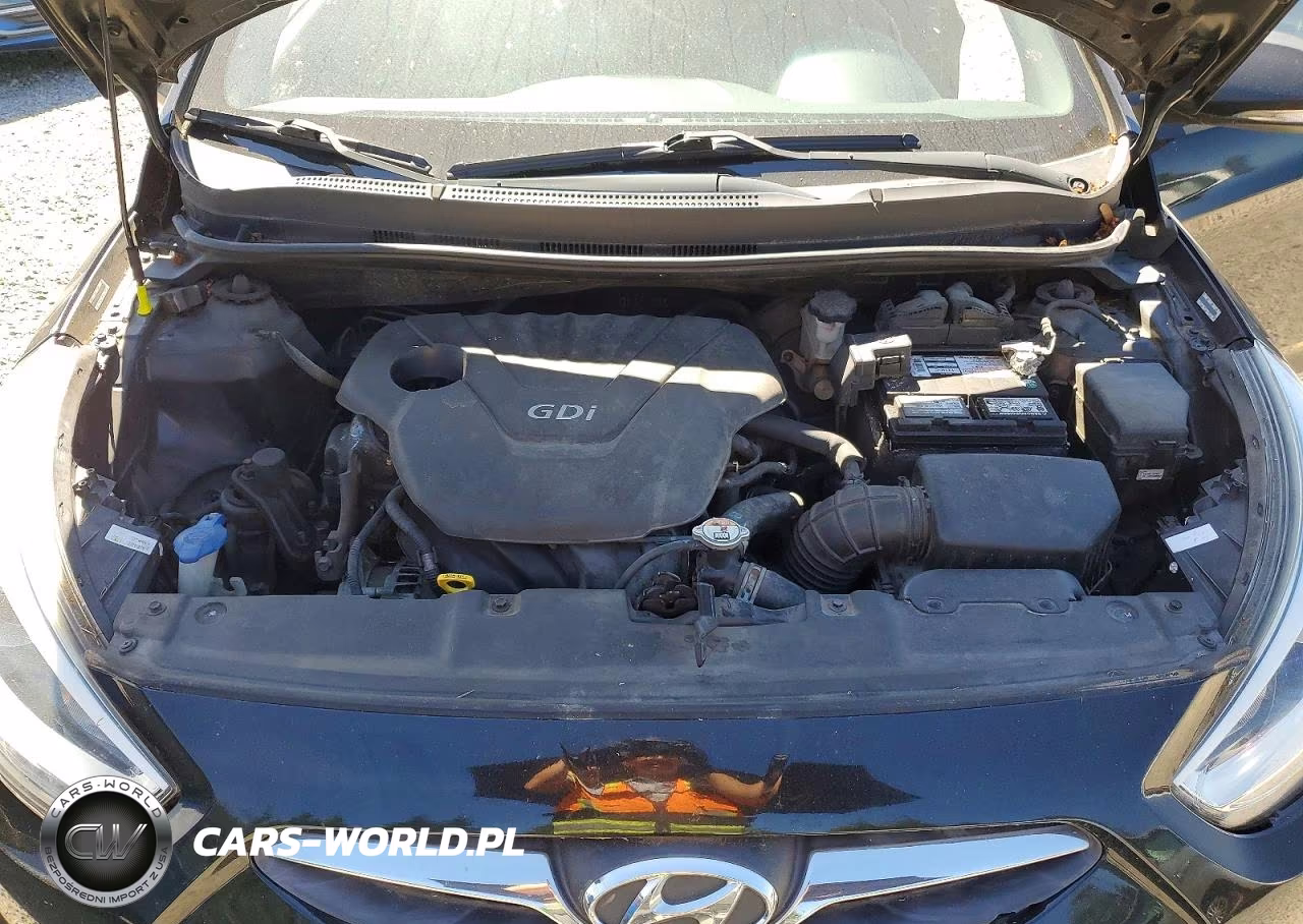 2014 Hyundai Accent Se VIN:KMHCU5AE4EU196013 - 12