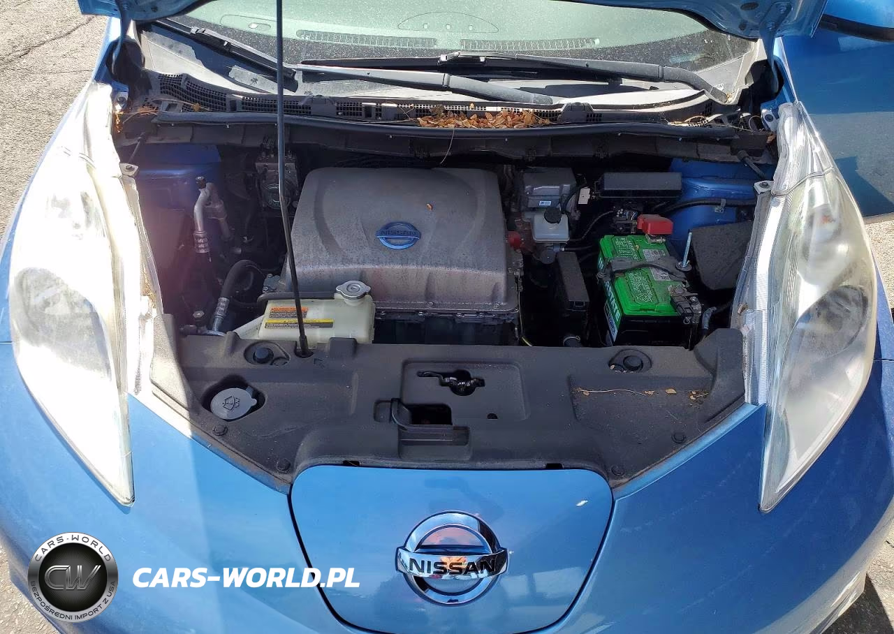 2014 Nissan Leaf S VIN:1N4AZ0CP7EC339434 - 11