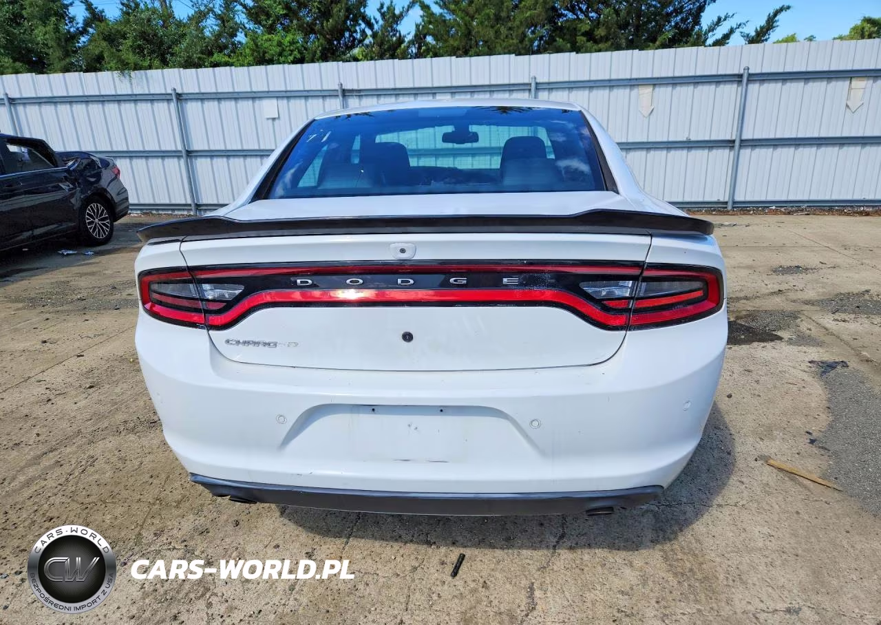 2019 Dodge Charger Police VIN:2C3CDXAG6KH645034 - 6