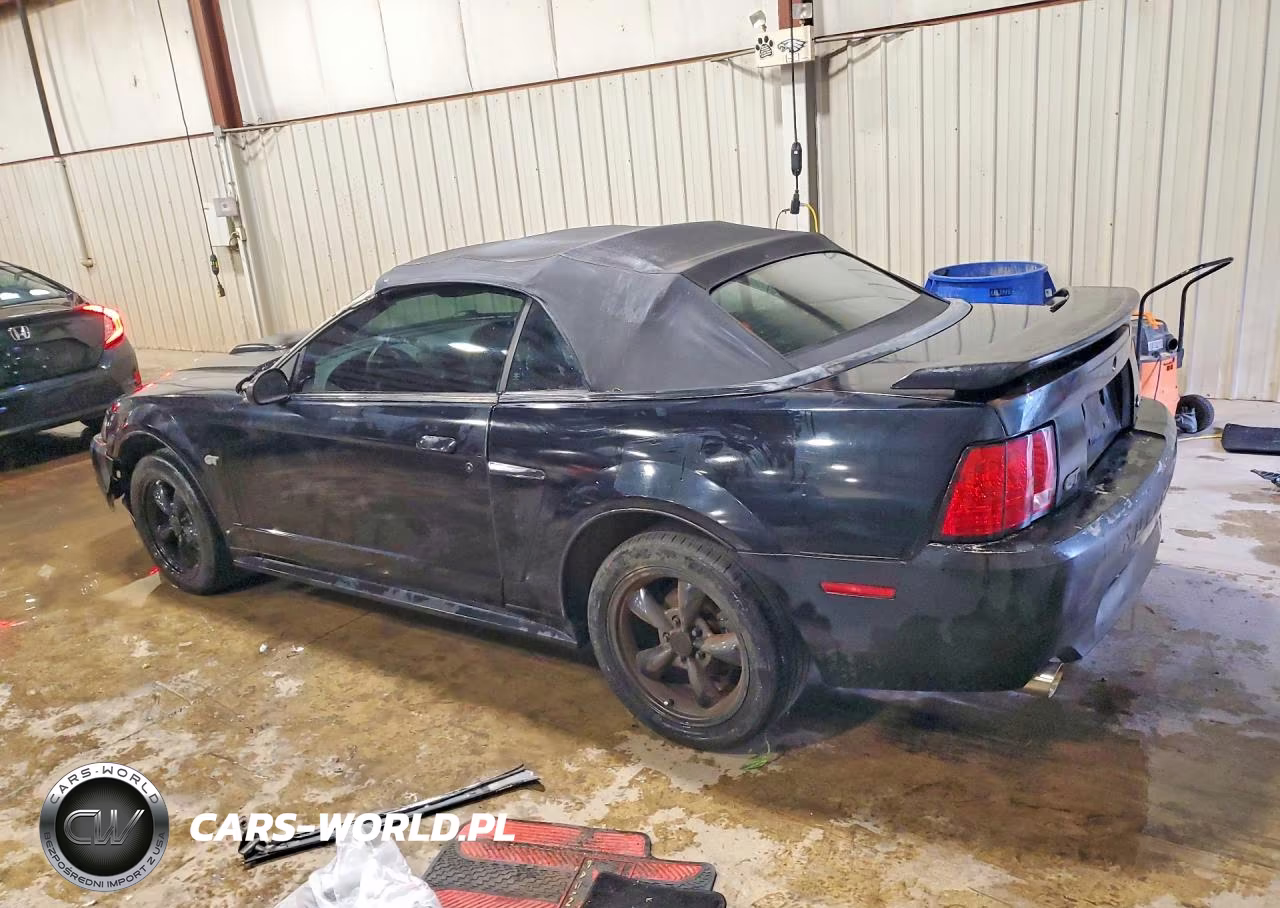 2002 Ford Mustang Gt VIN:1FAFP45X82F194222 - 2