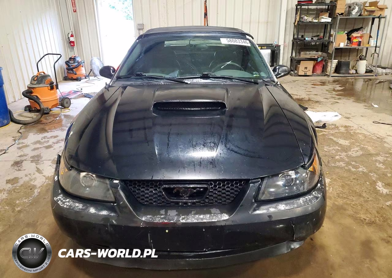2002 Ford Mustang Gt VIN:1FAFP45X82F194222 - 5