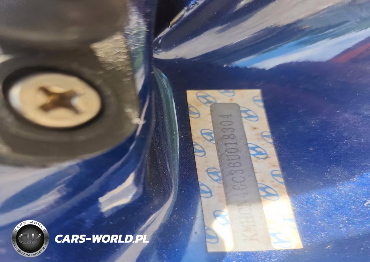 2006 Hyundai Accent Gls VIN:KMHCN46C36U018304 - 12