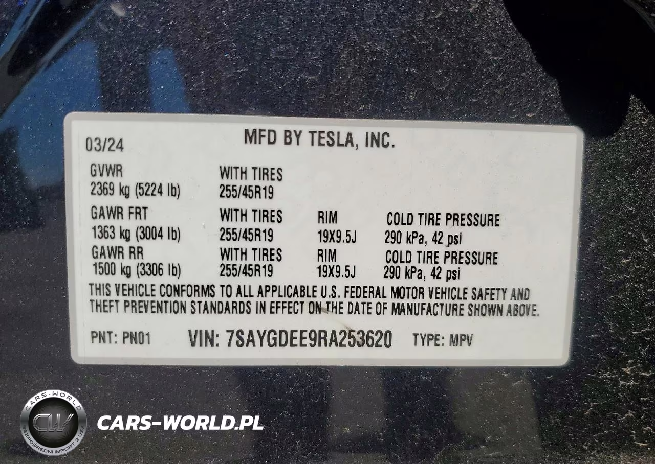 2024 Tesla Model Y VIN:7SAYGDEE9RA253620 - 13