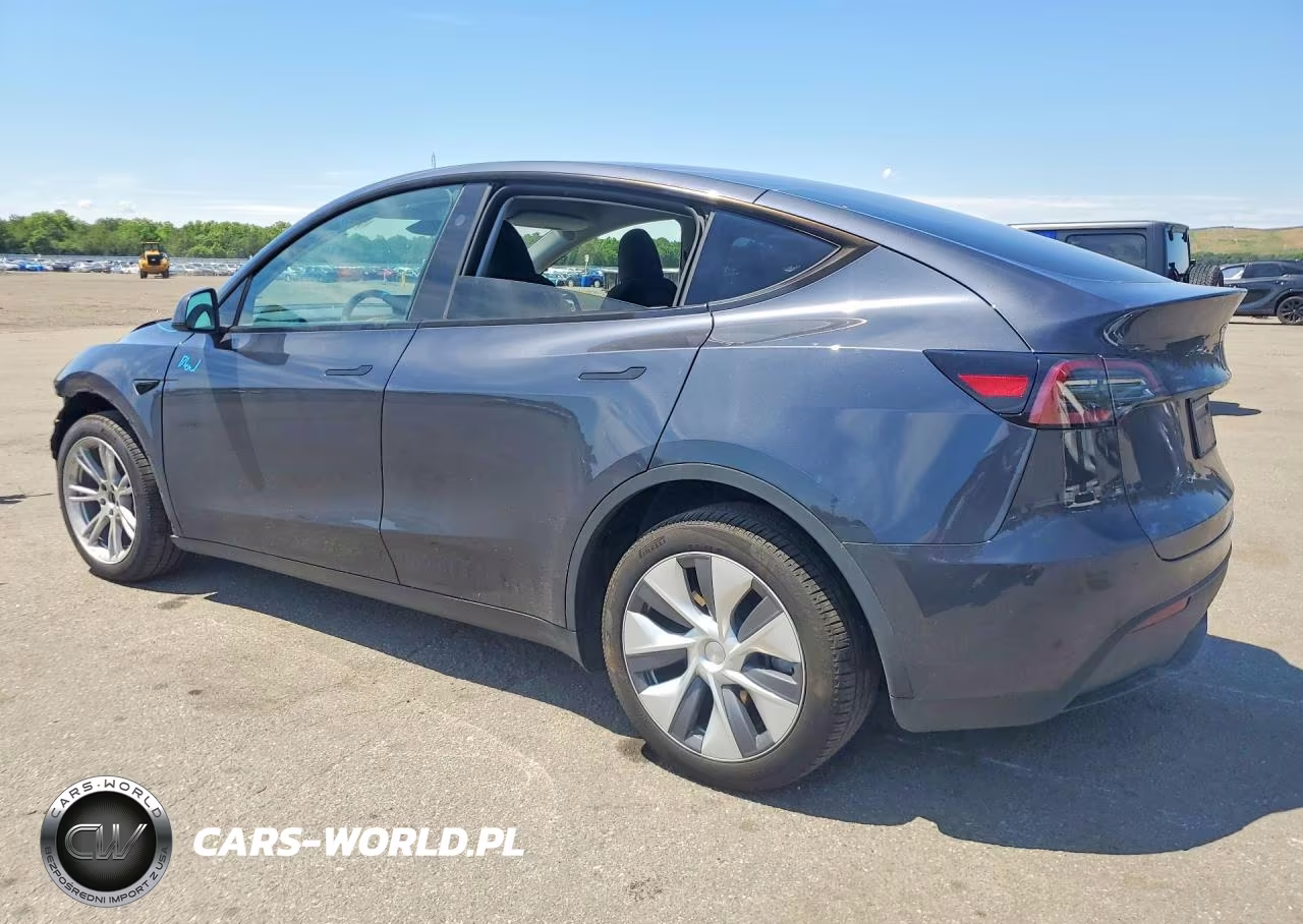 2024 Tesla Model Y VIN:7SAYGDEE9RA253620 - 2