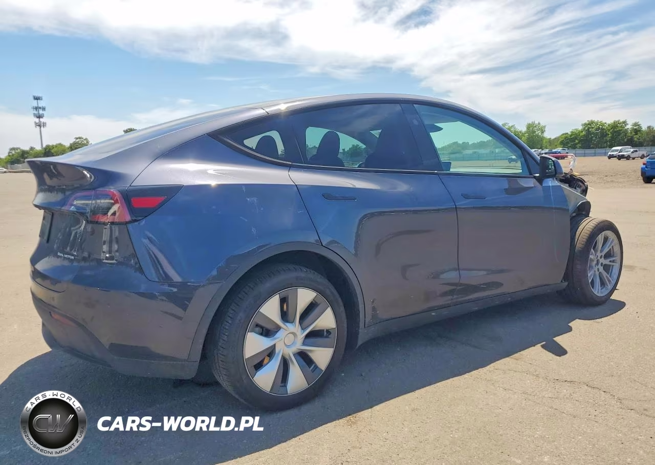 2024 Tesla Model Y VIN:7SAYGDEE9RA253620 - 3