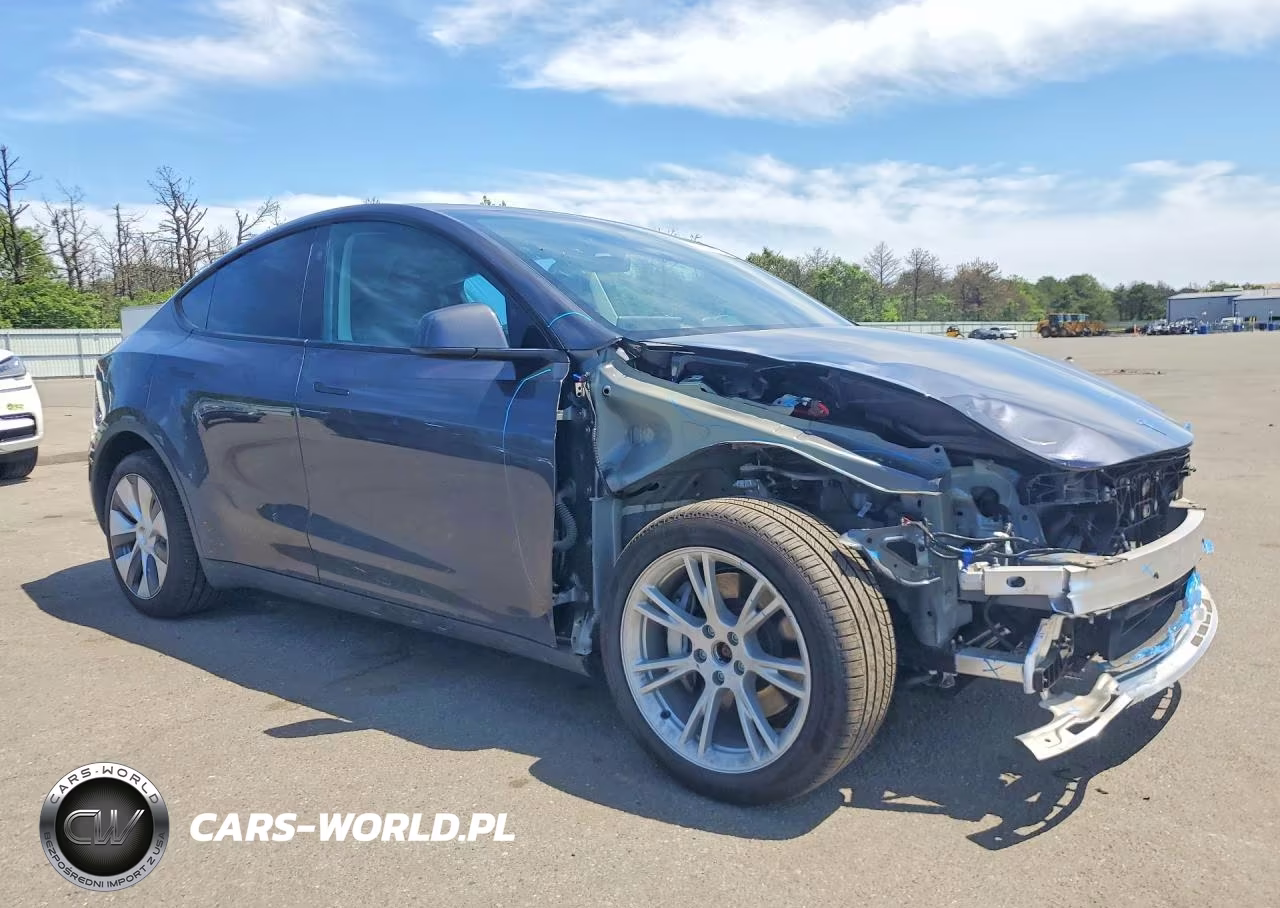 2024 Tesla Model Y VIN:7SAYGDEE9RA253620 - 4
