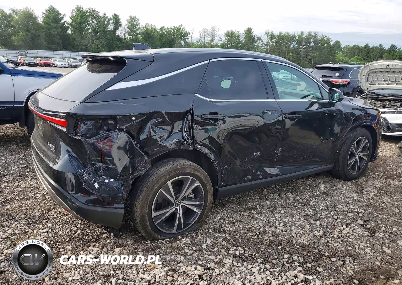 2024 Lexus Rx 350 Premium VIN:2T2BAMCA6RC056590 - 3