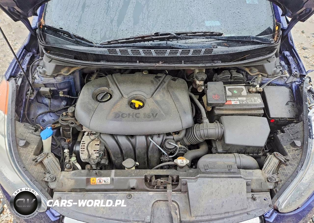 2013 Hyundai Elantra Gls VIN:5NPDH4AE5DH415061 - 11