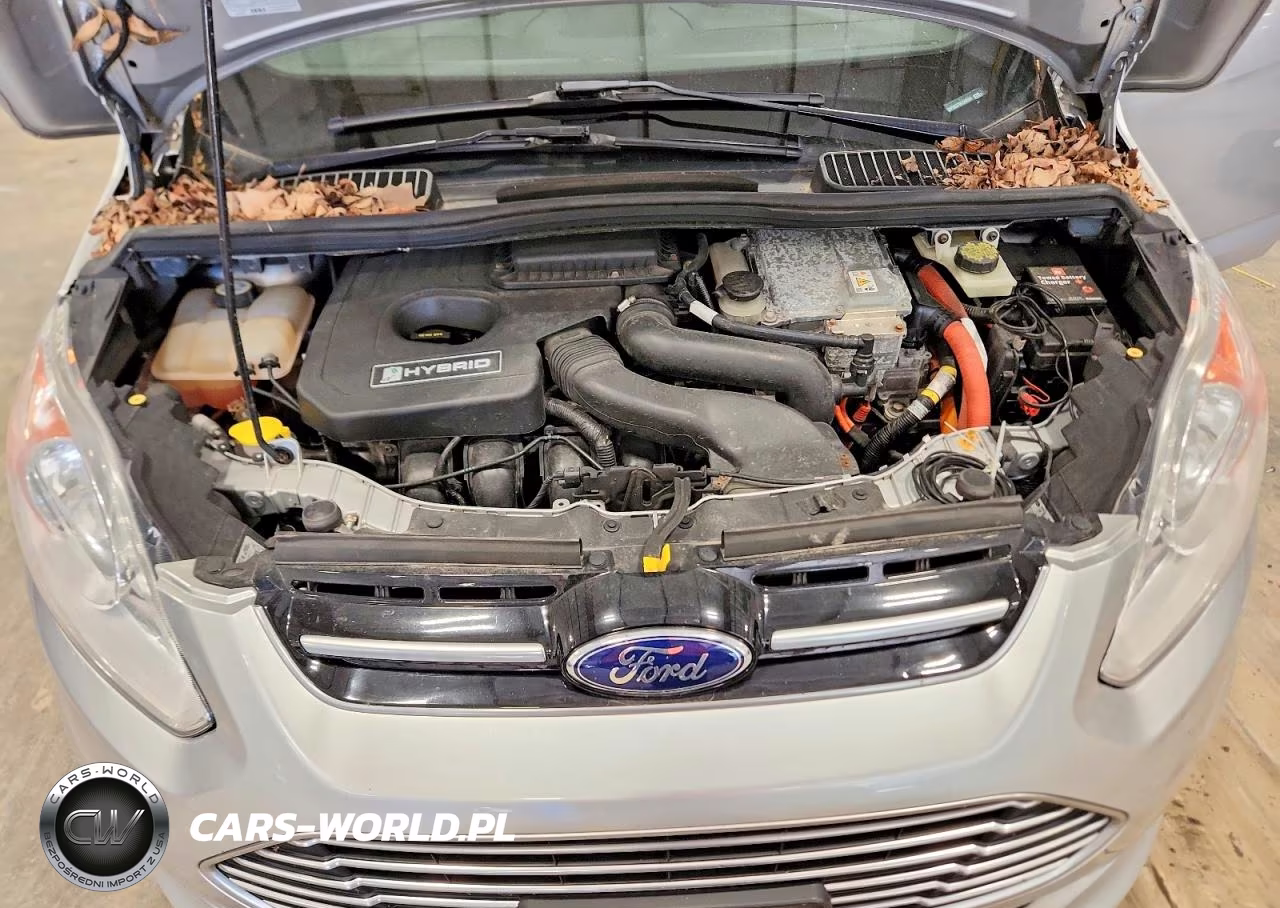 2013 Ford C-Max Sel VIN:1FADP5BU7DL540594 - 11