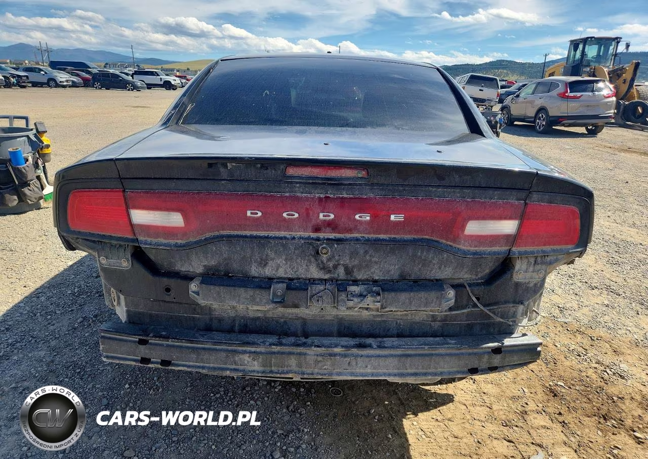2013 Dodge Charger Police VIN:2C3CDXAT5DH673780 - 6