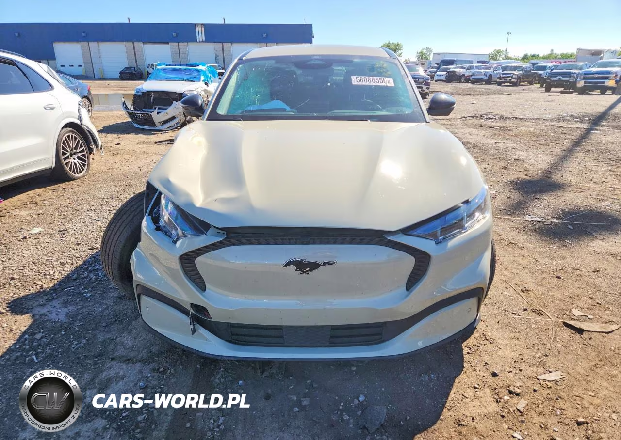 2025 Ford Mustang Mach-E Select VIN:3FMTK1S5XSMA00766 - 5