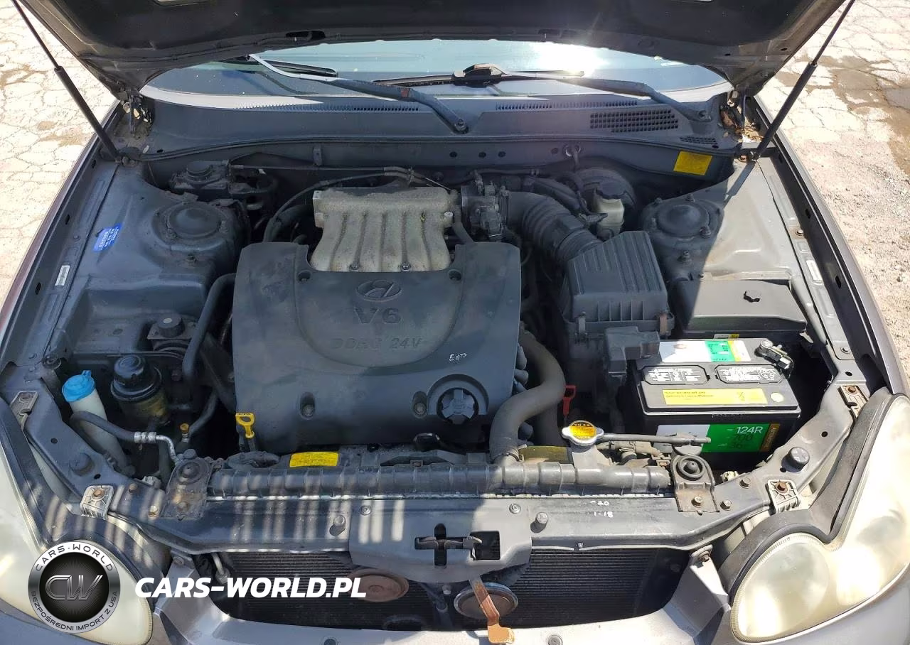 2002 Hyundai Sonata Gls VIN:KMHWF35H92A637549 - 11