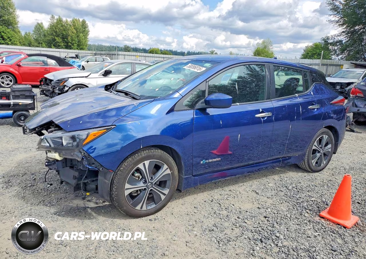 2019 Nissan Leaf Sv