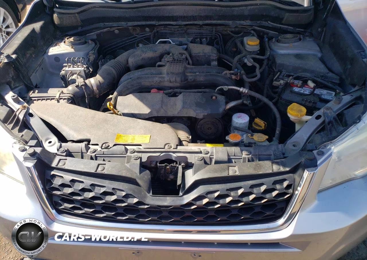2014 Subaru Forester Limited+M VIN:JF2SJAJC3EH431303 - 11