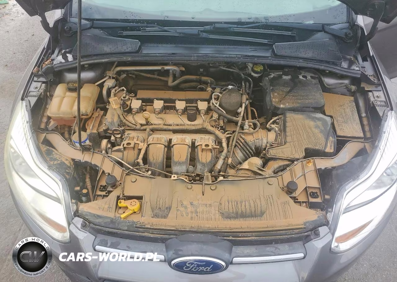 2014 Ford Focus VIN:1FADP3F29EL415661 - 11