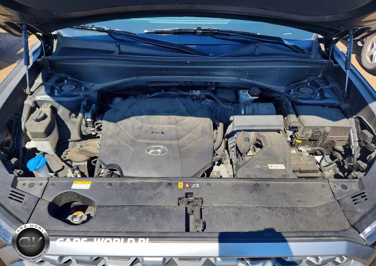 2021 Hyundai Palisade Sel VIN:KM8R2DHE8MU188205 - 12