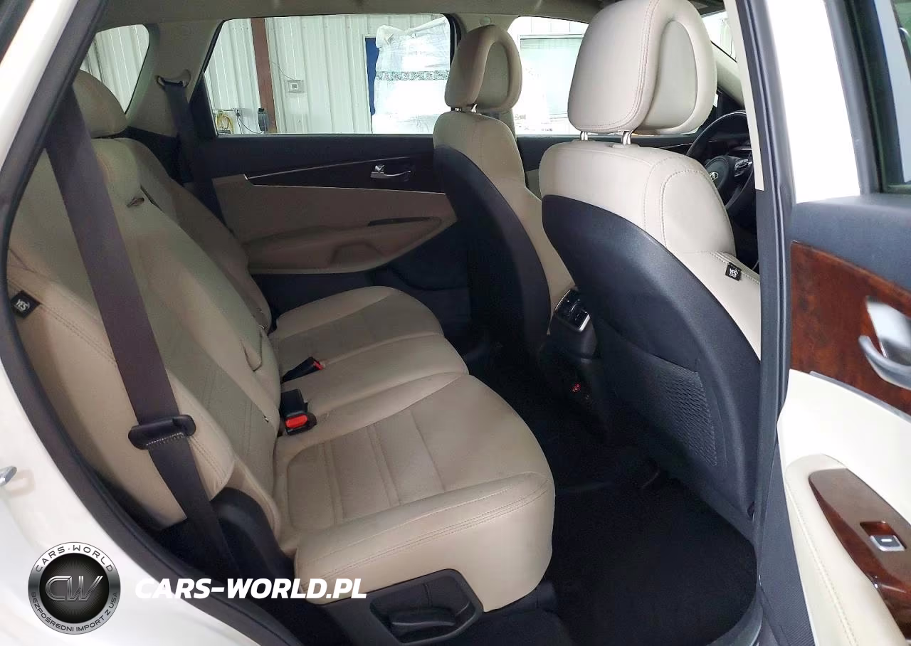 2016 Kia Sorento Lx V6 VIN:5XYPGDA54GG034510 - 11