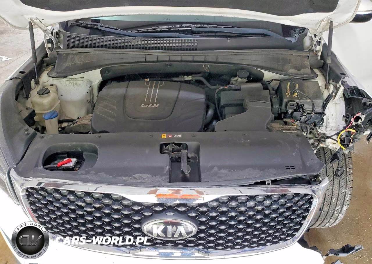 2016 Kia Sorento Lx V6 VIN:5XYPGDA54GG034510 - 12