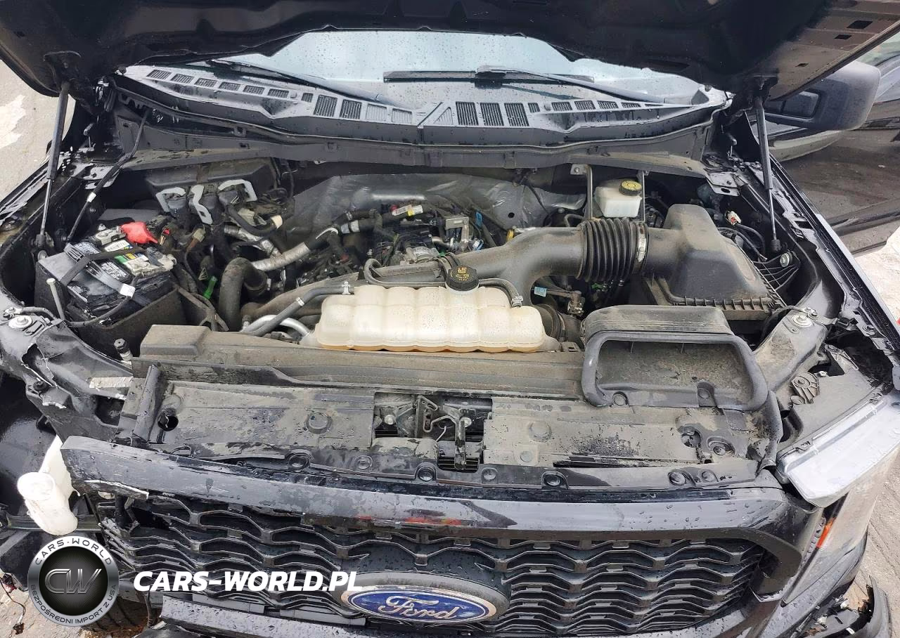 2023 Ford F150 Supercrew VIN:1FTEW1EP8PKD64651 - 11