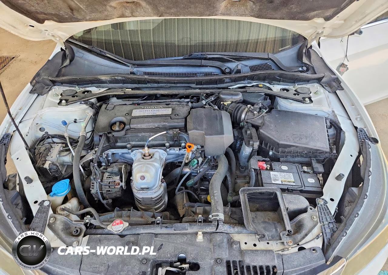 2013 Honda Accord Exl VIN:1HGCR2F87DA213914 - 11