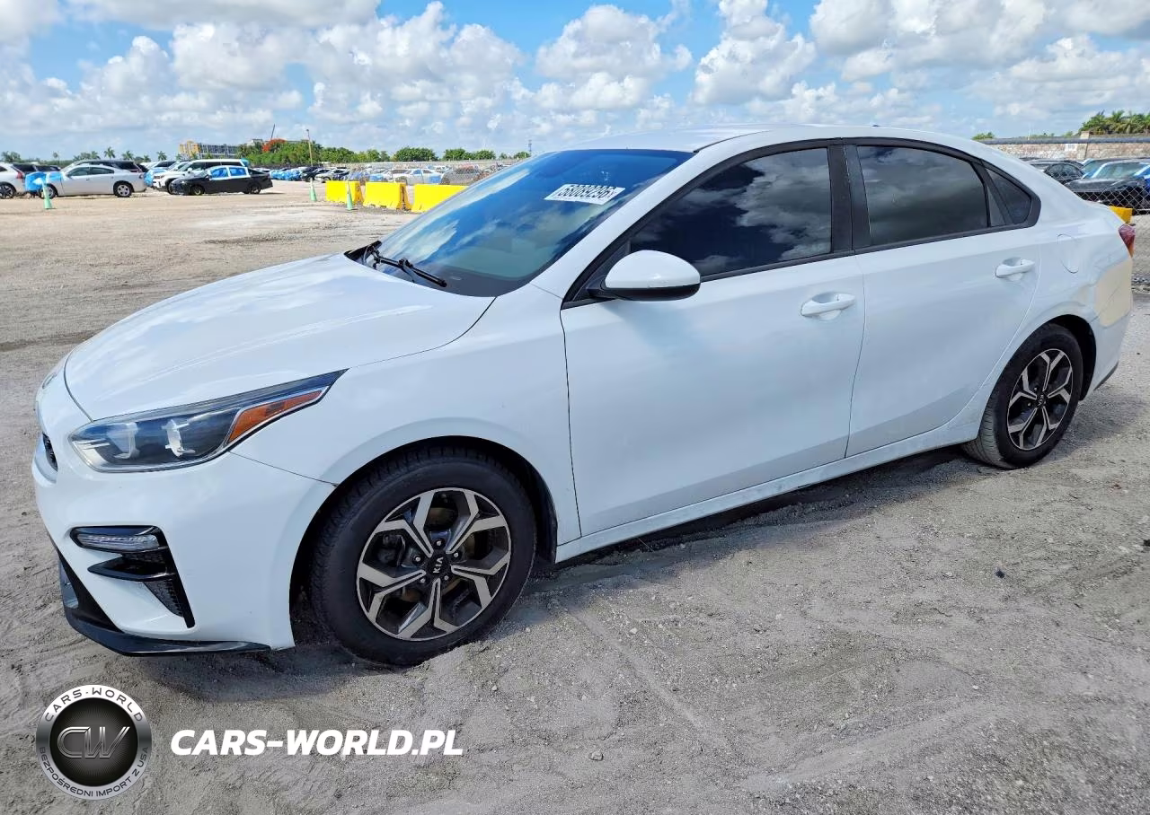 2019 Kia Forte Lxs