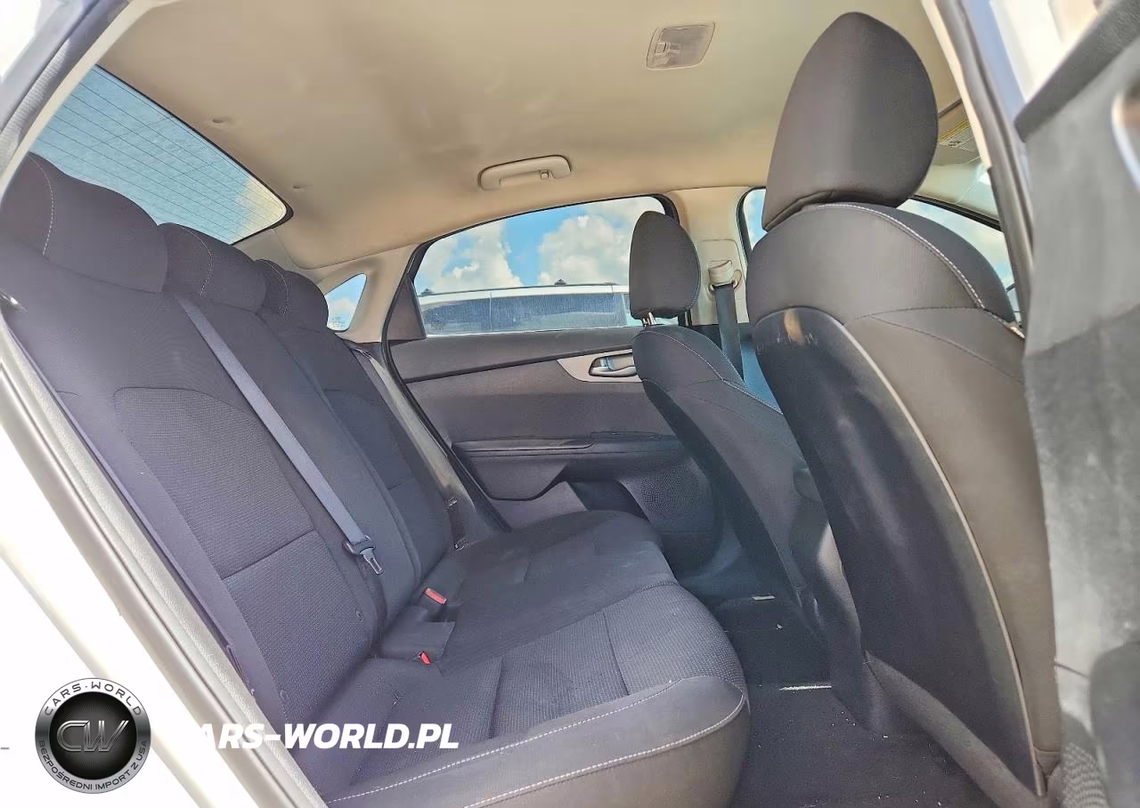 2019 Kia Forte Lxs VIN:3KPF24AD4KE007167 - 10