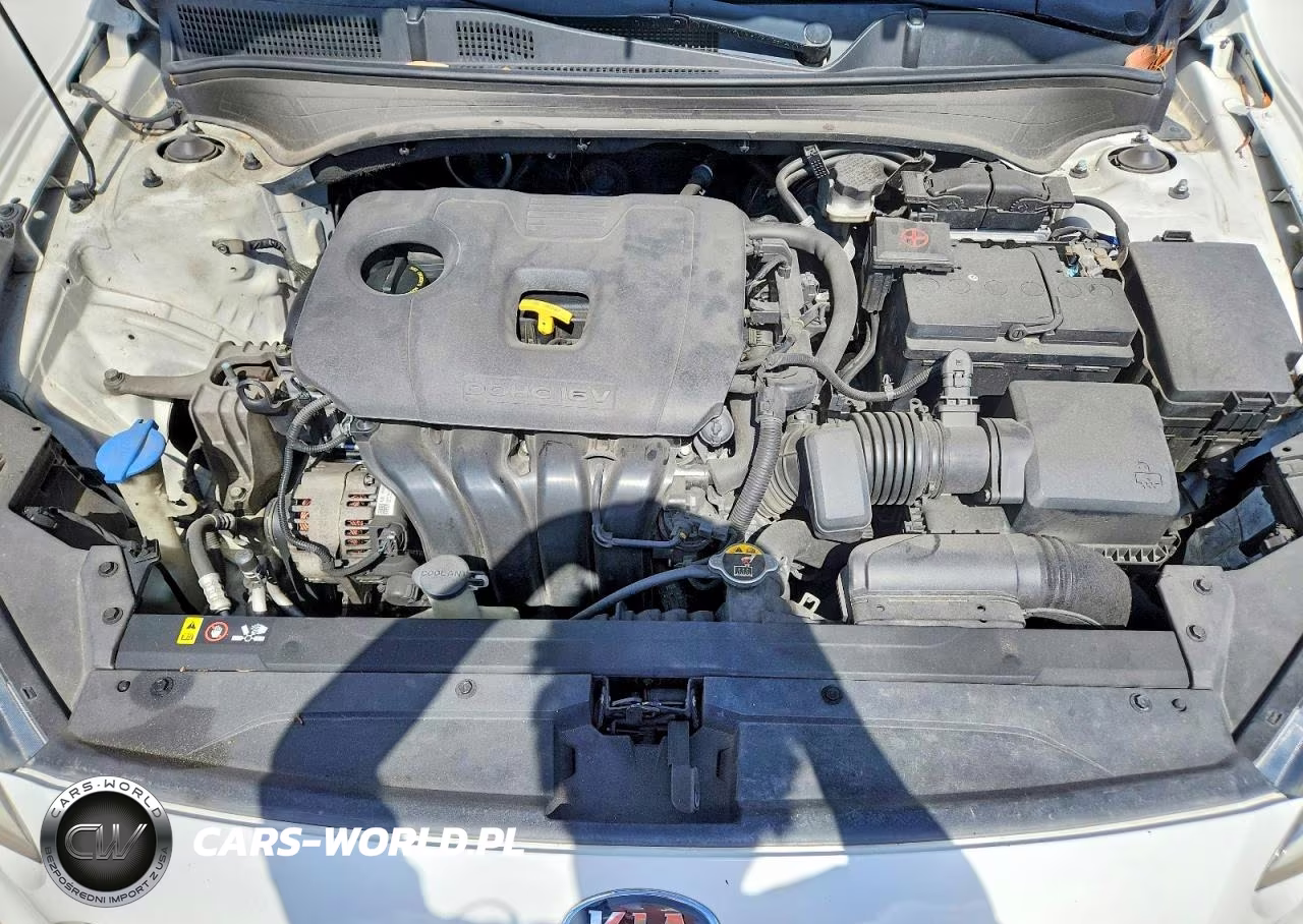 2019 Kia Forte Lxs VIN:3KPF24AD4KE007167 - 11