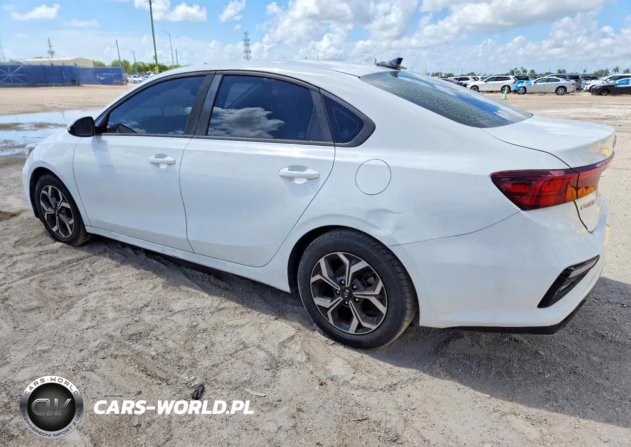 2019 Kia Forte Lxs VIN:3KPF24AD4KE007167 - 2