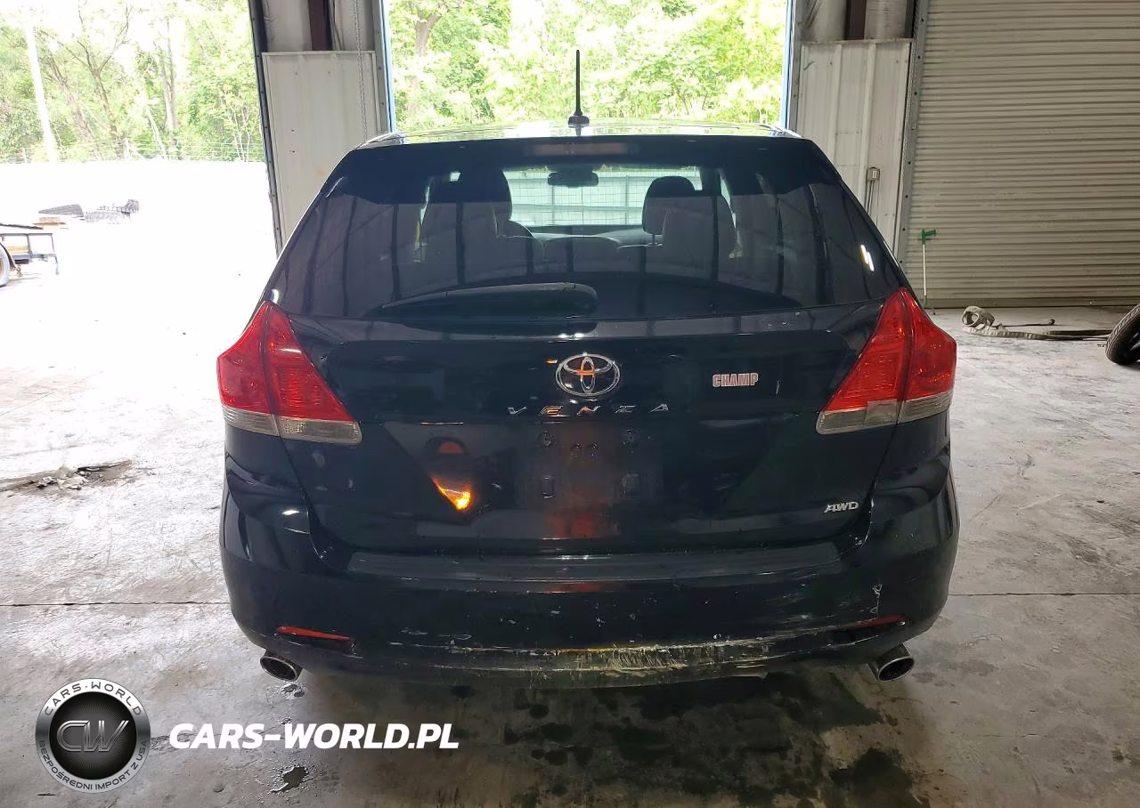 2009 Toyota Venza Awd V6 VIN:4T3BK11AX9U017090 - 6